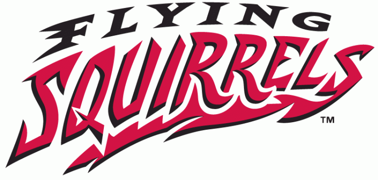 Richmond Flying Squirrels 2010-Pres Wordmark Logo iron on paper